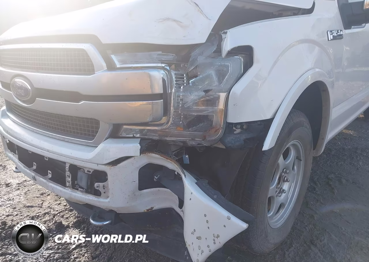 2019 Ford F-150 Platinum VIN:1FTEW1E41KFA84903 - 6
