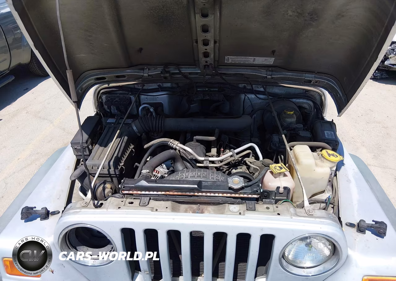 2002 Jeep Wrangler X VIN:1J4FA39SX2P750958 - 10