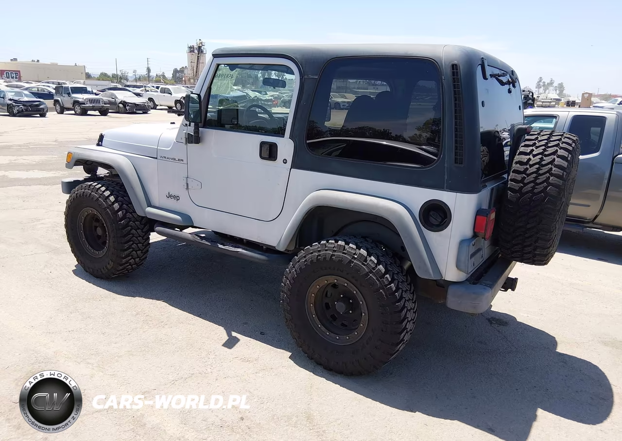 2002 Jeep Wrangler X VIN:1J4FA39SX2P750958 - 3