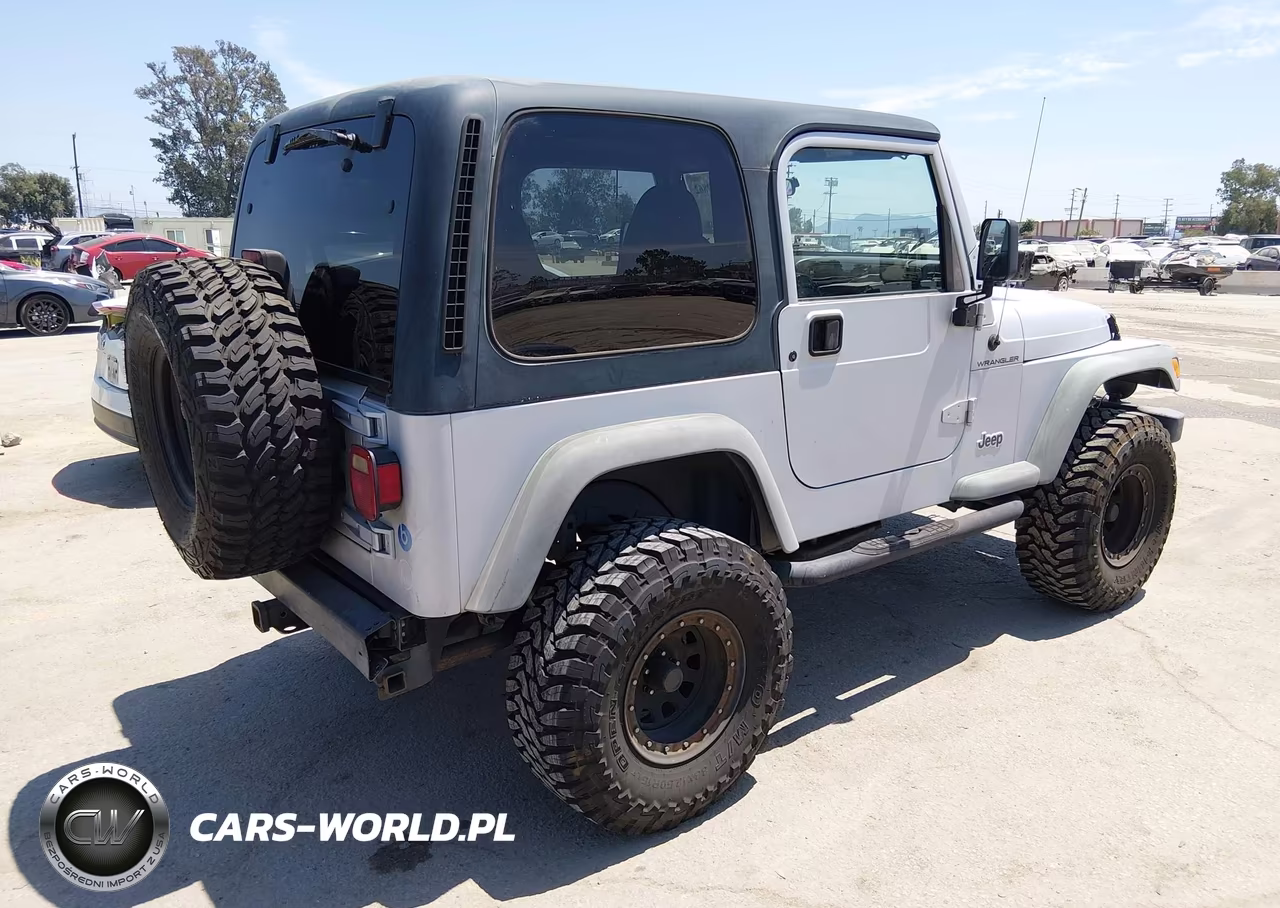 2002 Jeep Wrangler X VIN:1J4FA39SX2P750958 - 4