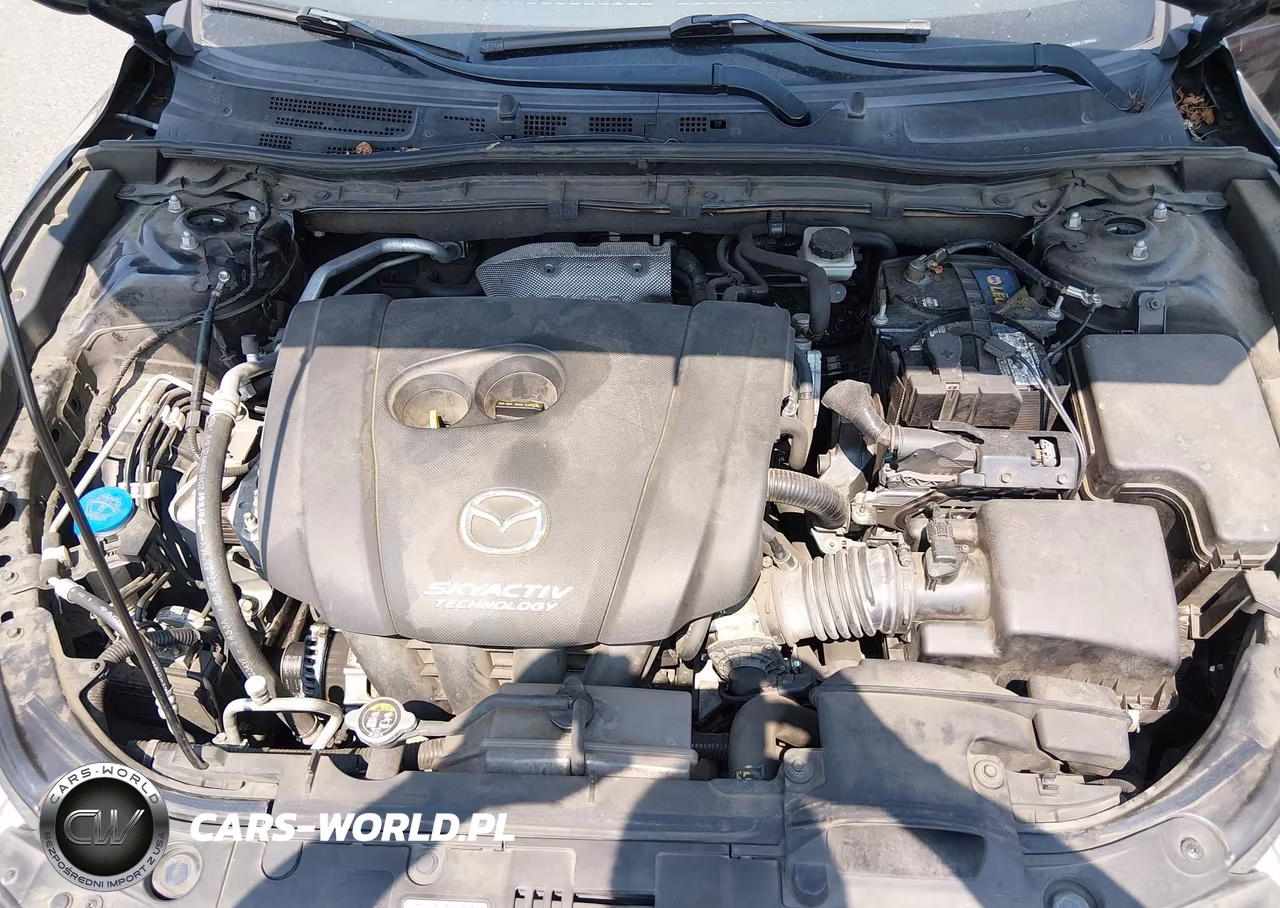 2014 Mazda Mazda3 S Grand Touring VIN:JM1BM1W39E1189964 - 10