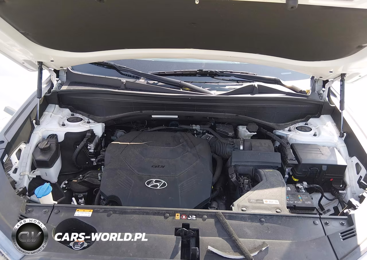 2022 Hyundai Palisade Calligraphy VIN:KM8R7DHE3NU338224 - 10