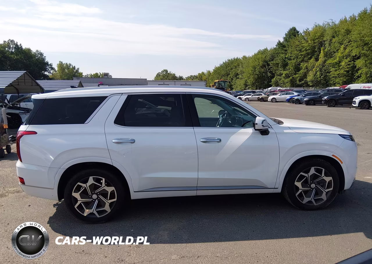2022 Hyundai Palisade Calligraphy VIN:KM8R7DHE3NU338224 - 13