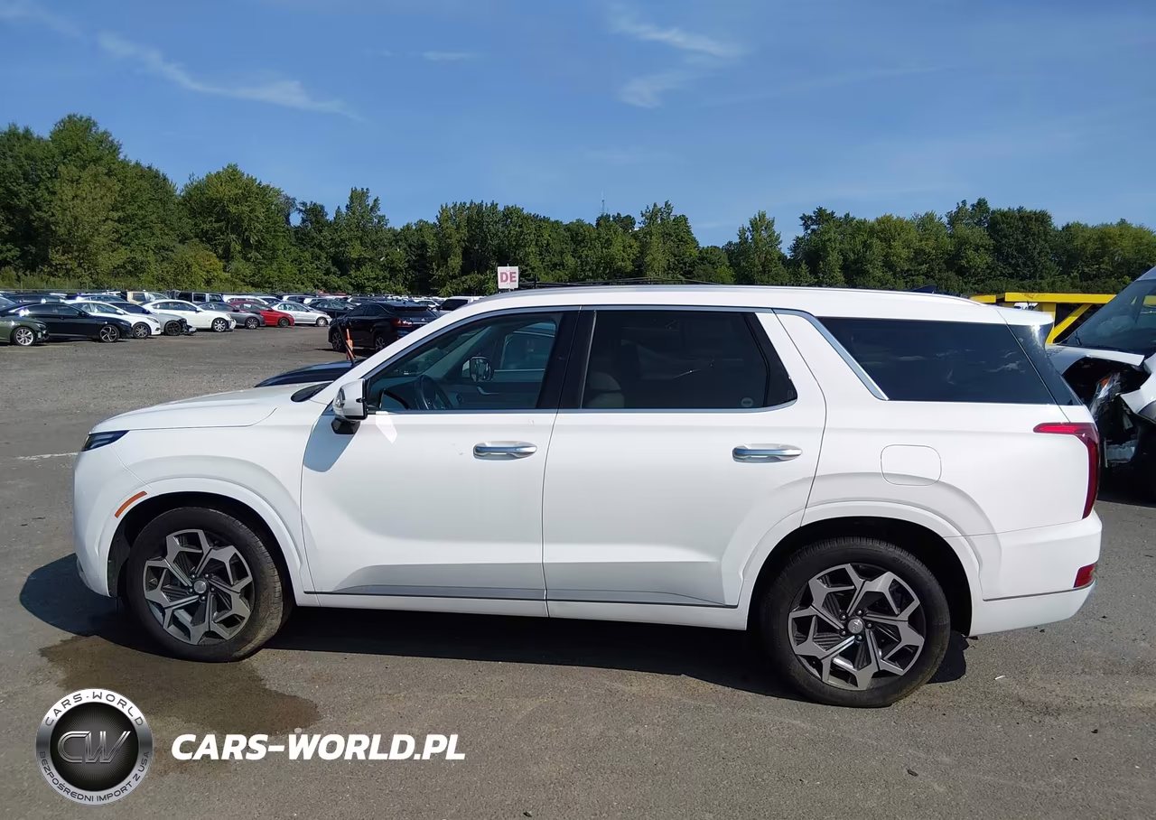 2022 Hyundai Palisade Calligraphy VIN:KM8R7DHE3NU338224 - 14