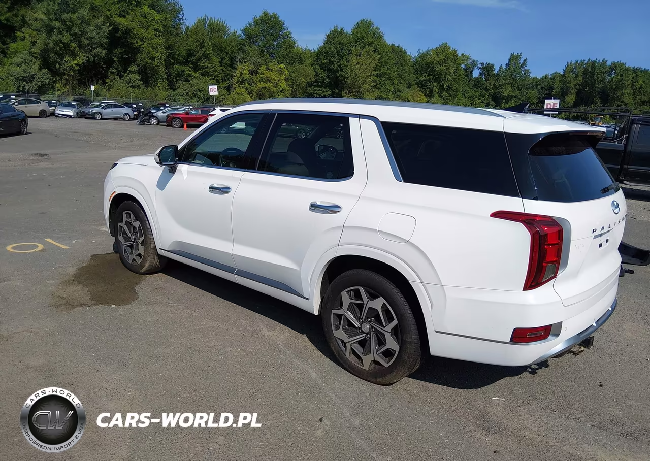 2022 Hyundai Palisade Calligraphy VIN:KM8R7DHE3NU338224 - 3