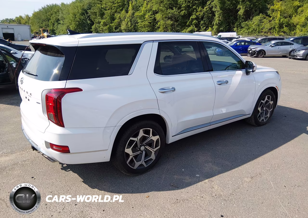2022 Hyundai Palisade Calligraphy VIN:KM8R7DHE3NU338224 - 4