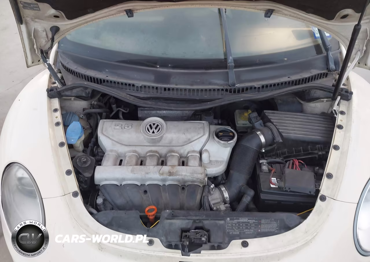 2009 Volkswagen New Beetle 2.5L VIN:3VWRF31Y39M404946 - 10