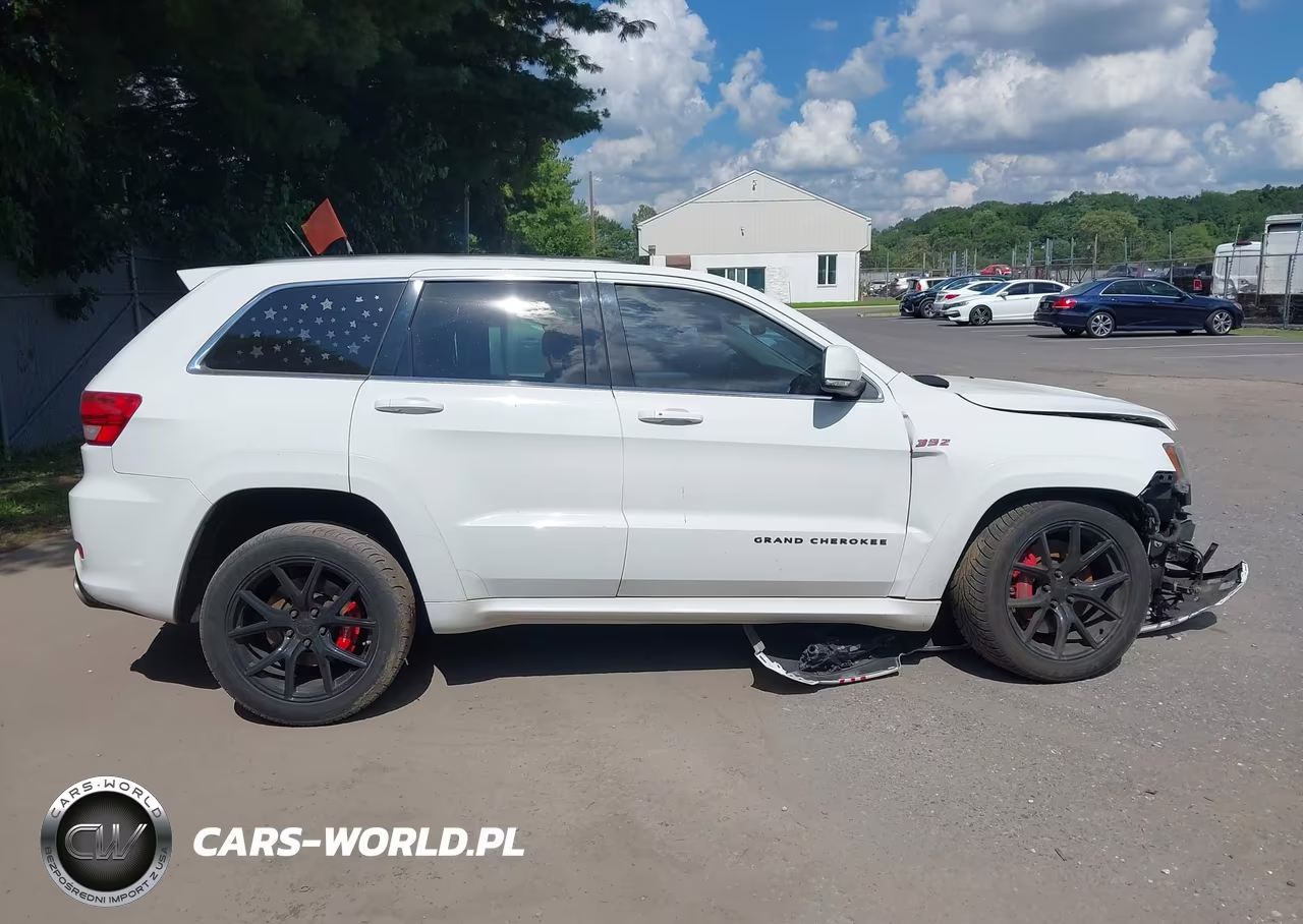 2013 Jeep Grand Cherokee Srt8 Alpine VIN:1C4RJFDJ0DC541323 - 14