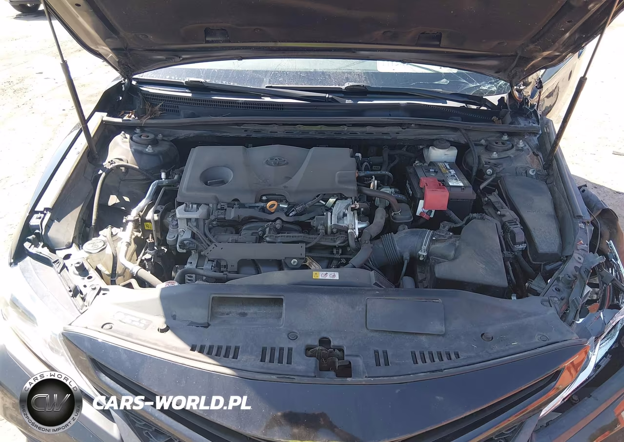 2020 Toyota Camry Se VIN:4T1G11AK9LU396584 - 10