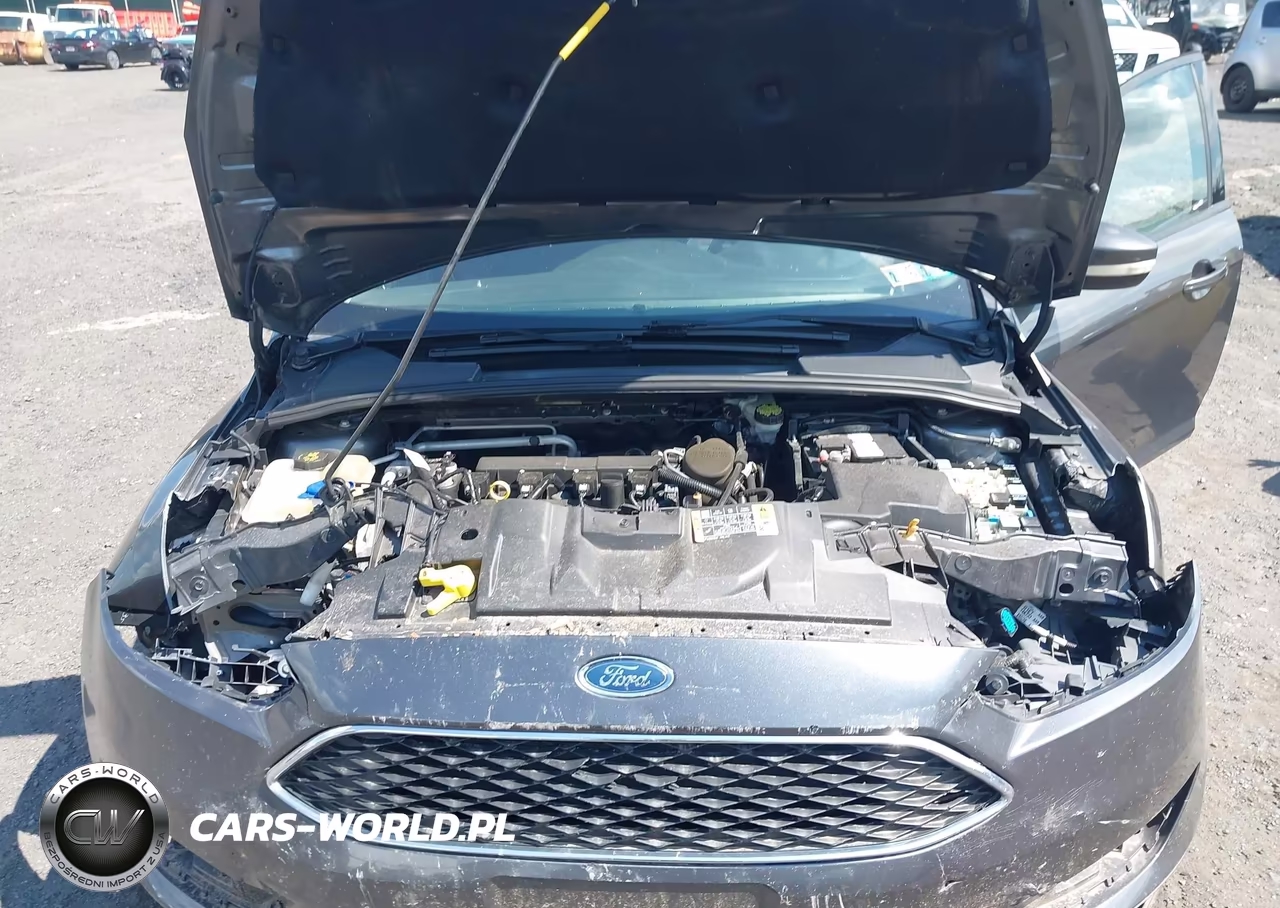 2016 Ford Focus Se VIN:1FADP3F23GL224711 - 10