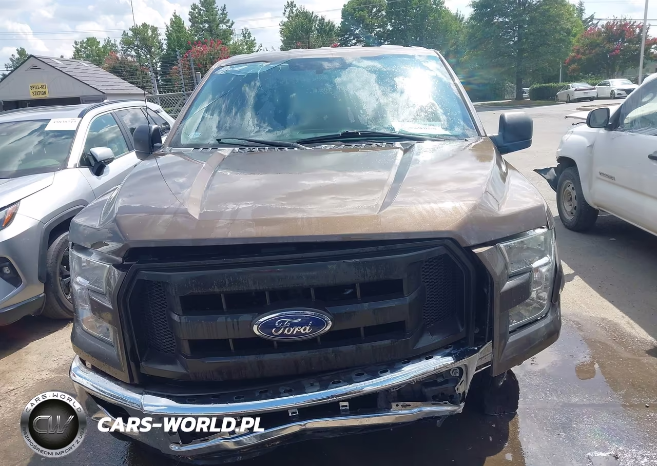 2016 Ford F-150 Xl VIN:1FTEX1CP4GKG03306 - 12