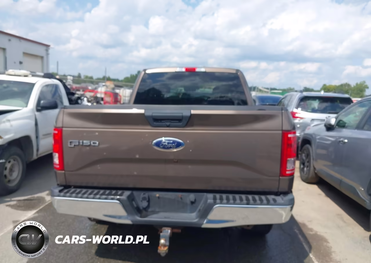 2016 Ford F-150 Xl VIN:1FTEX1CP4GKG03306 - 16