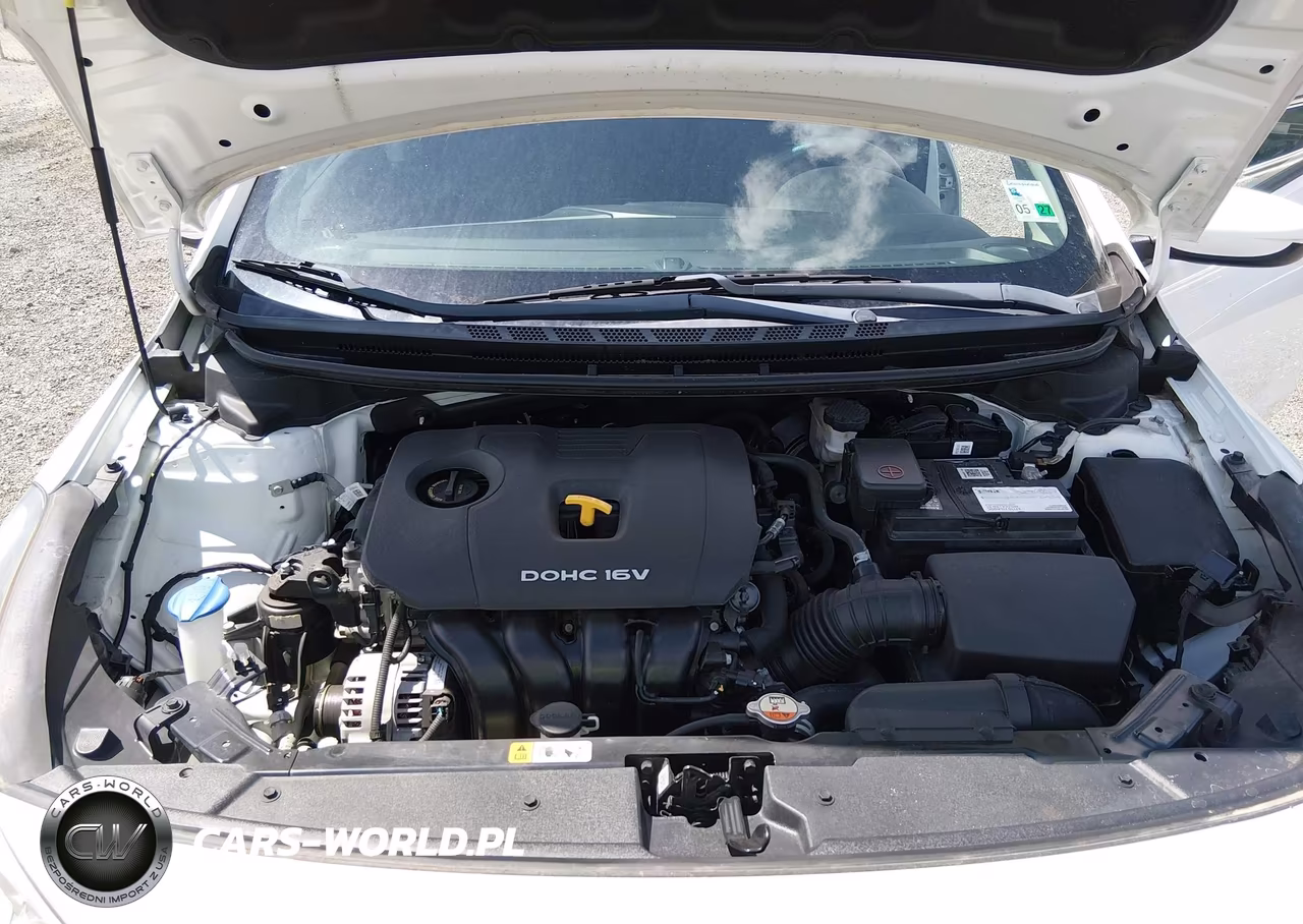 2018 Kia Forte Lx VIN:3KPFK4A79JE276404 - 10
