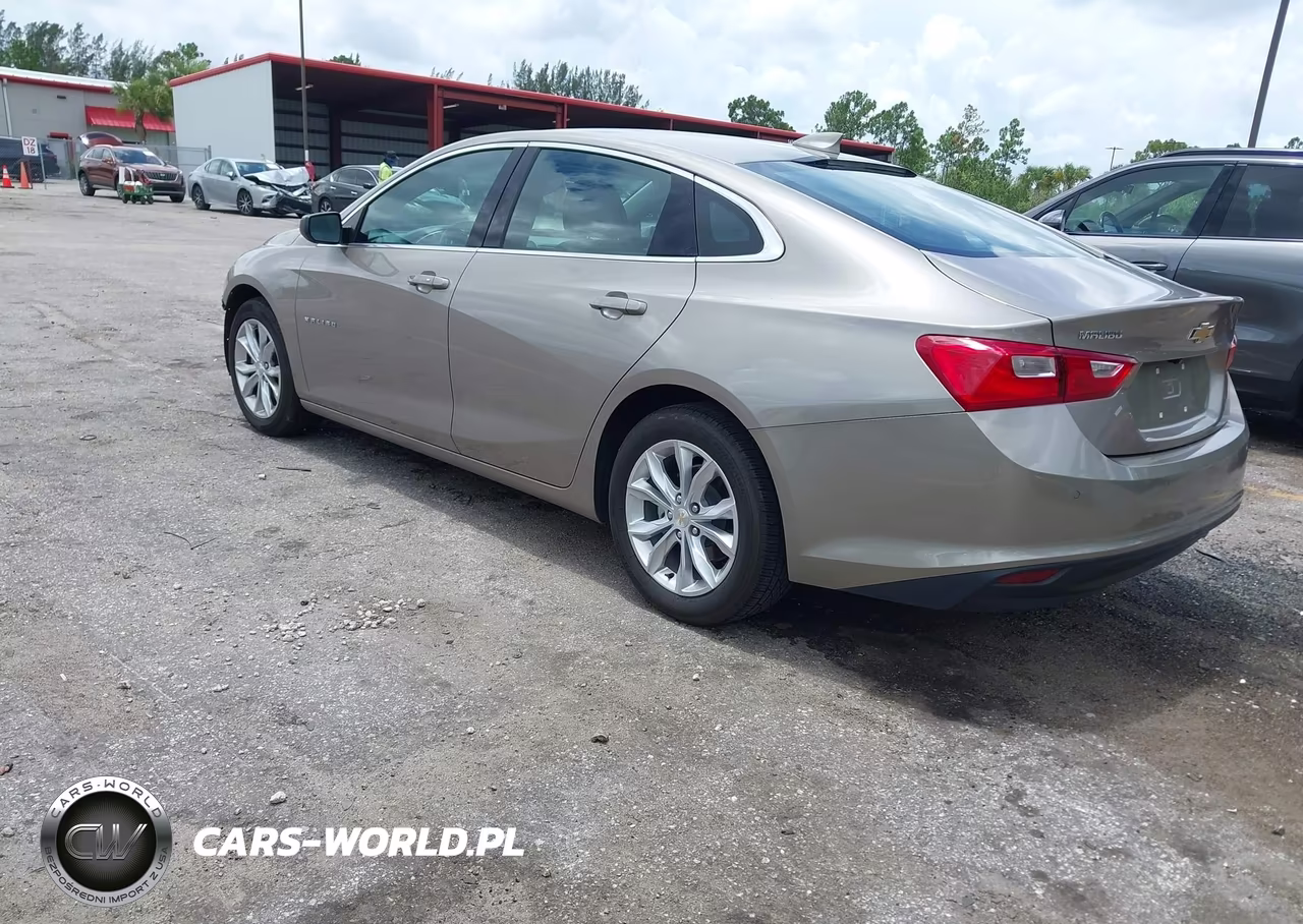 2023 Chevrolet Malibu Fwd 1Lt VIN:1G1ZD5ST1PF224202 - 3