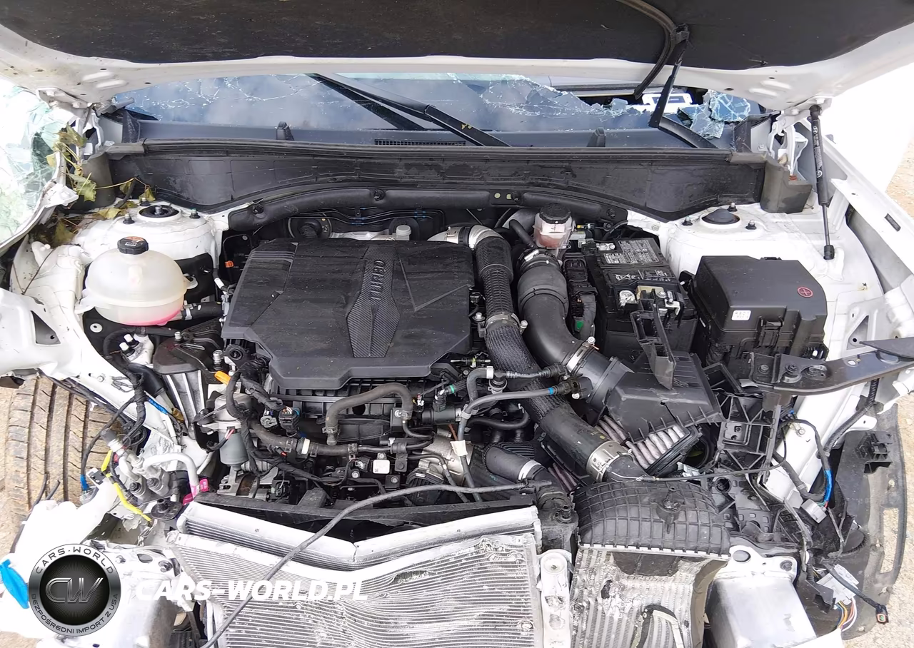 2024 Hyundai Santa Fe Sel VIN:5NMP2DGL5RH030625 - 10