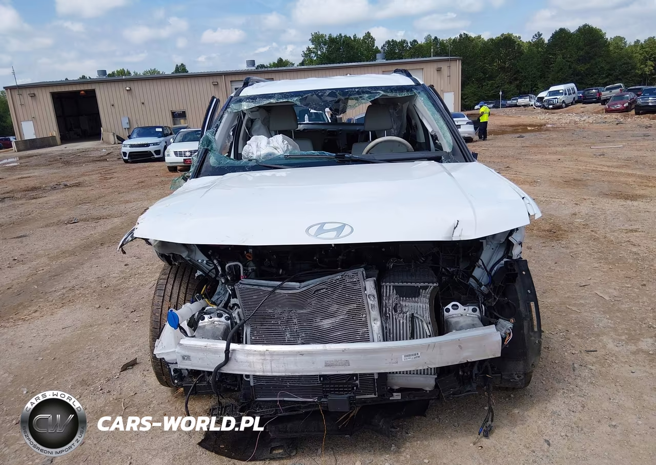 2024 Hyundai Santa Fe Sel VIN:5NMP2DGL5RH030625 - 11