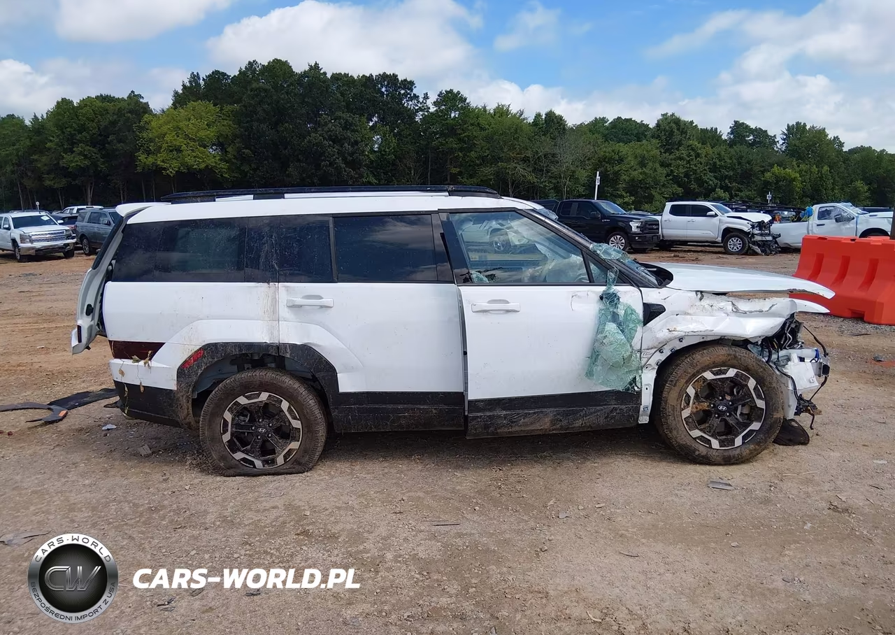 2024 Hyundai Santa Fe Sel VIN:5NMP2DGL5RH030625 - 12