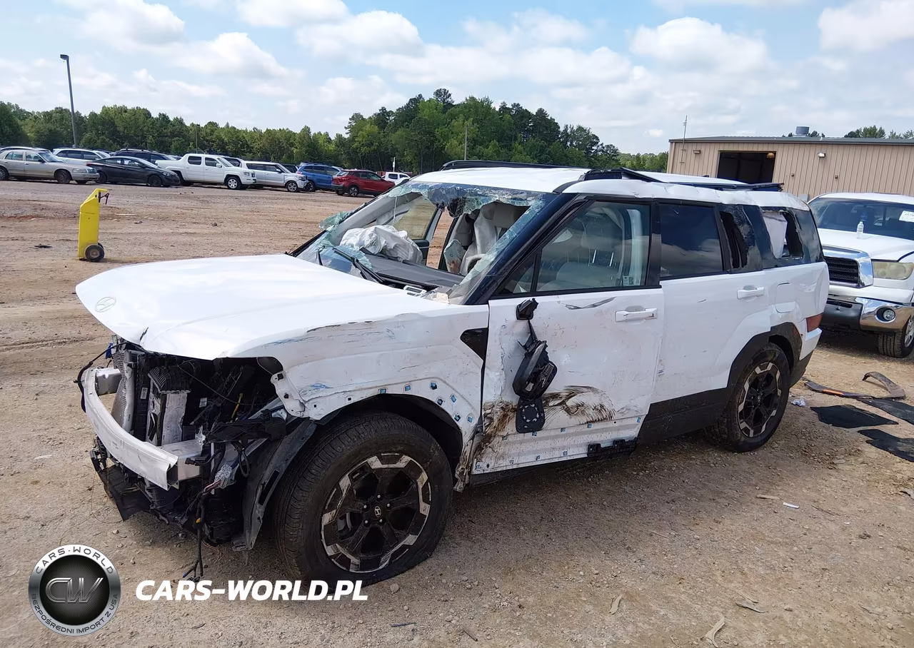 2024 Hyundai Santa Fe Sel VIN:5NMP2DGL5RH030625 - 2