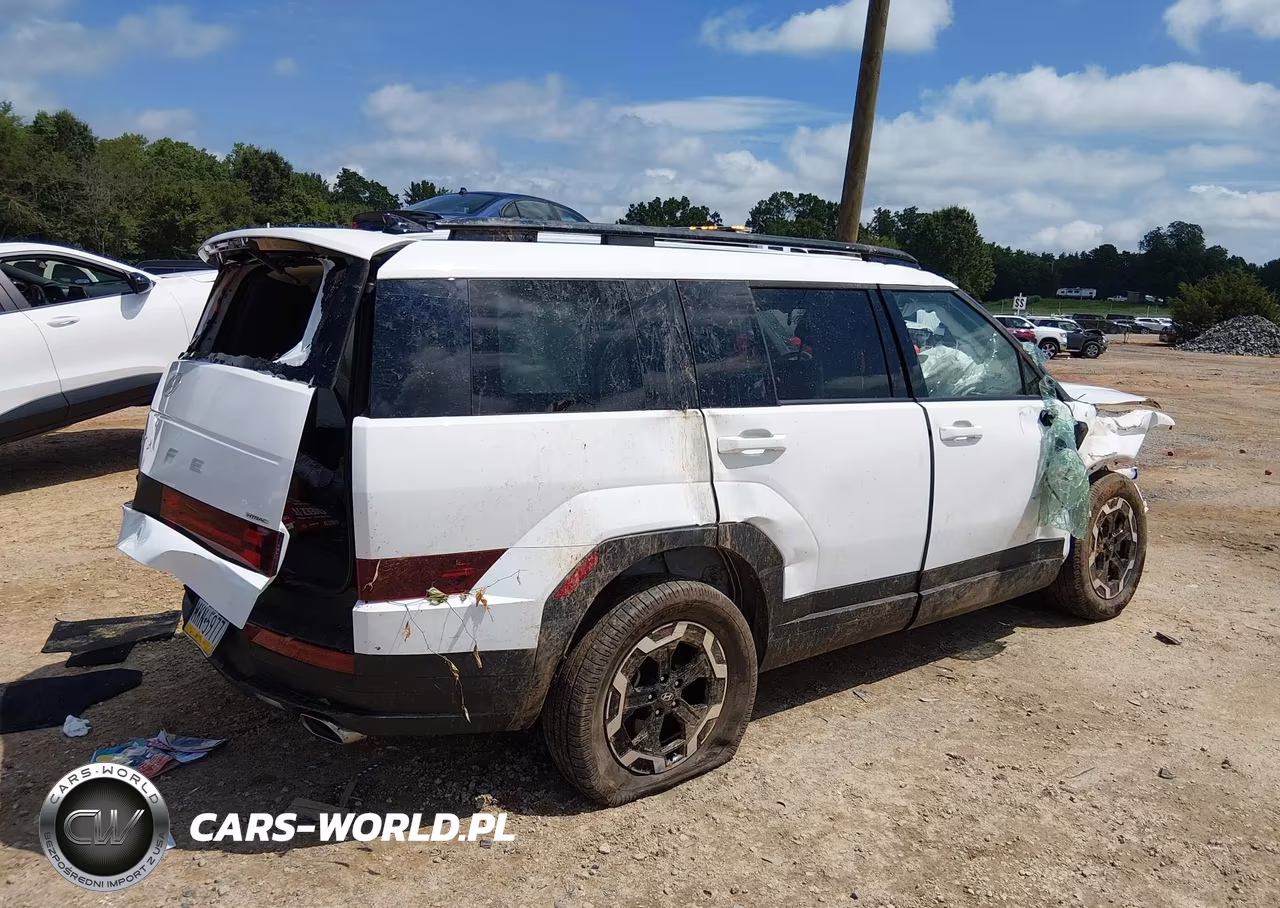 2024 Hyundai Santa Fe Sel VIN:5NMP2DGL5RH030625 - 4