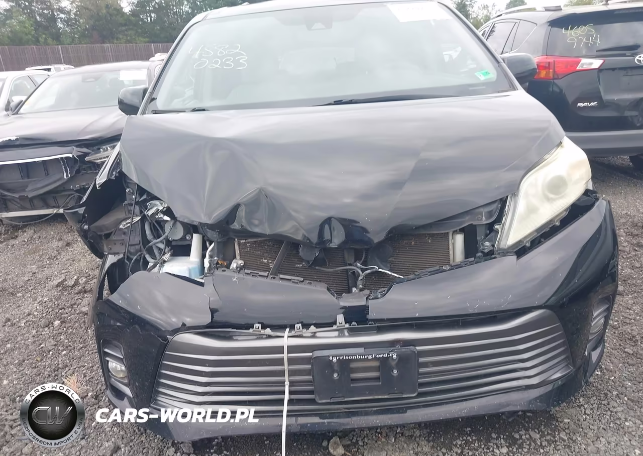 2019 Toyota Sienna Xle 8 Passenger VIN:5TDYZ3DC3KS009306 - 17