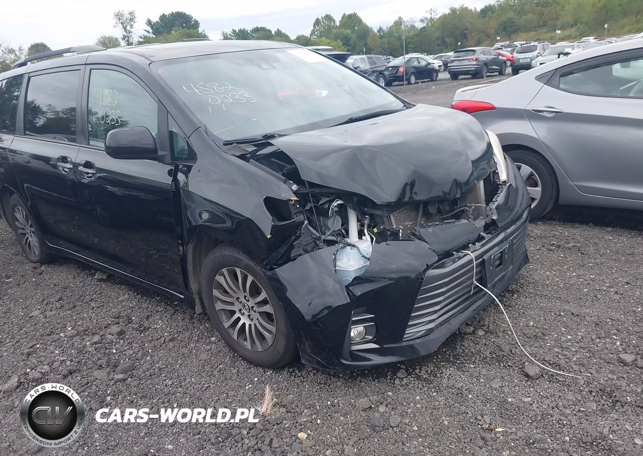 2019 Toyota Sienna Xle 8 Passenger VIN:5TDYZ3DC3KS009306 - 18