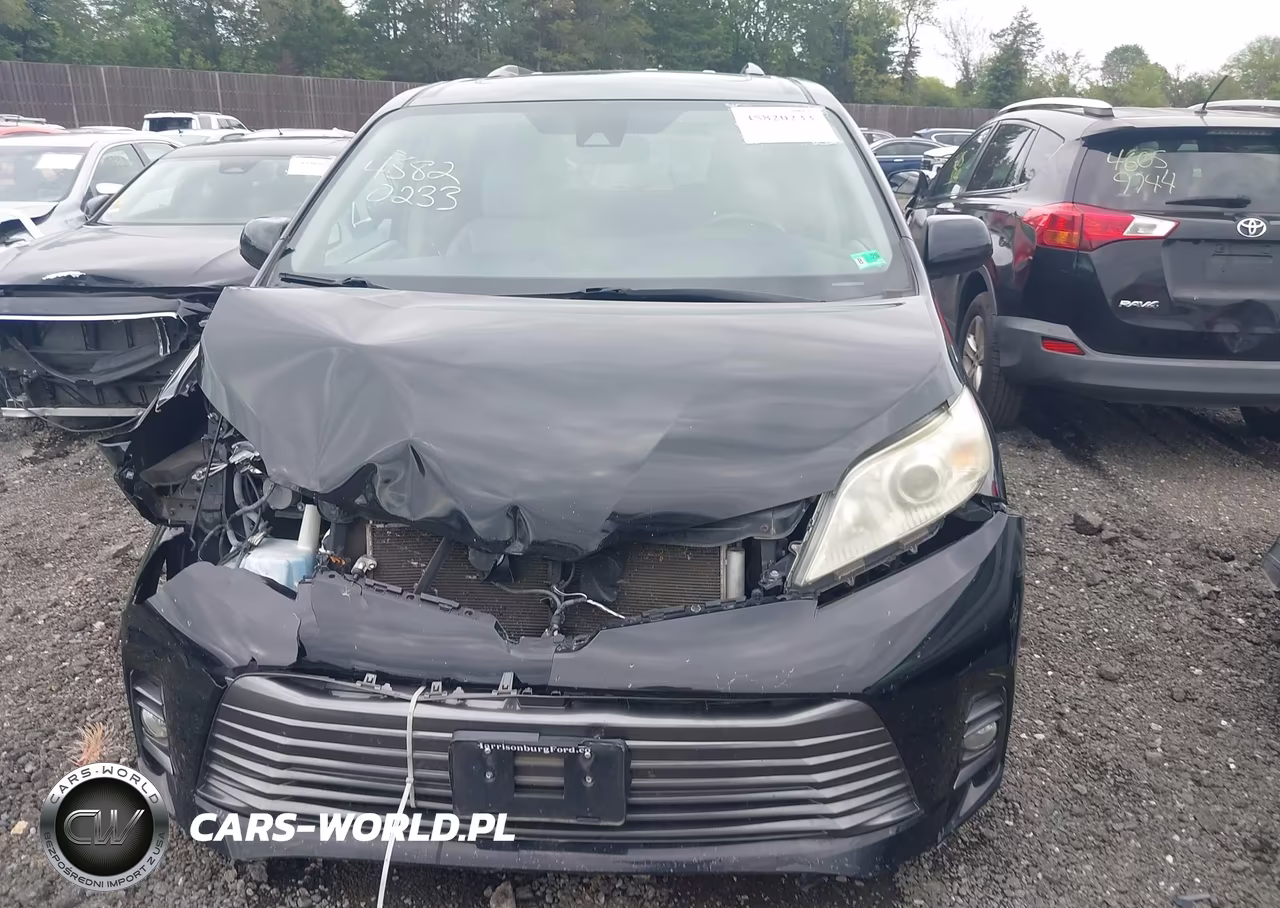 2019 Toyota Sienna Xle 8 Passenger VIN:5TDYZ3DC3KS009306 - 6