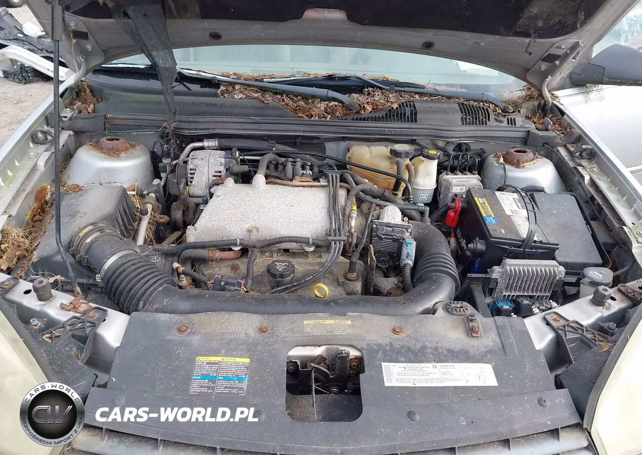 2004 Chevrolet Malibu Maxx Ls VIN:1G1ZT64844F221677 - 10