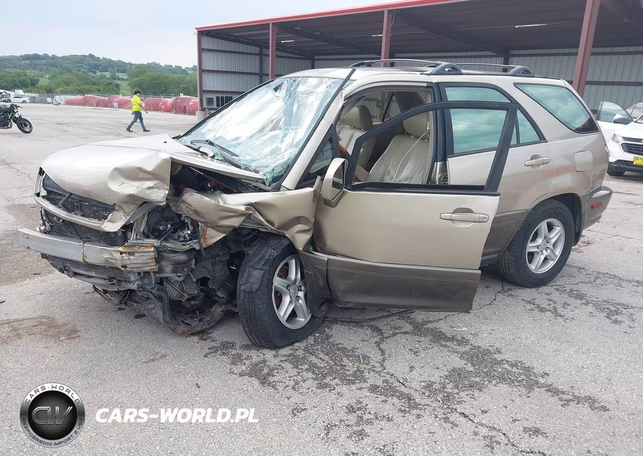 2002 Lexus Rx 300 VIN:JTJHF10U820253514 - 2