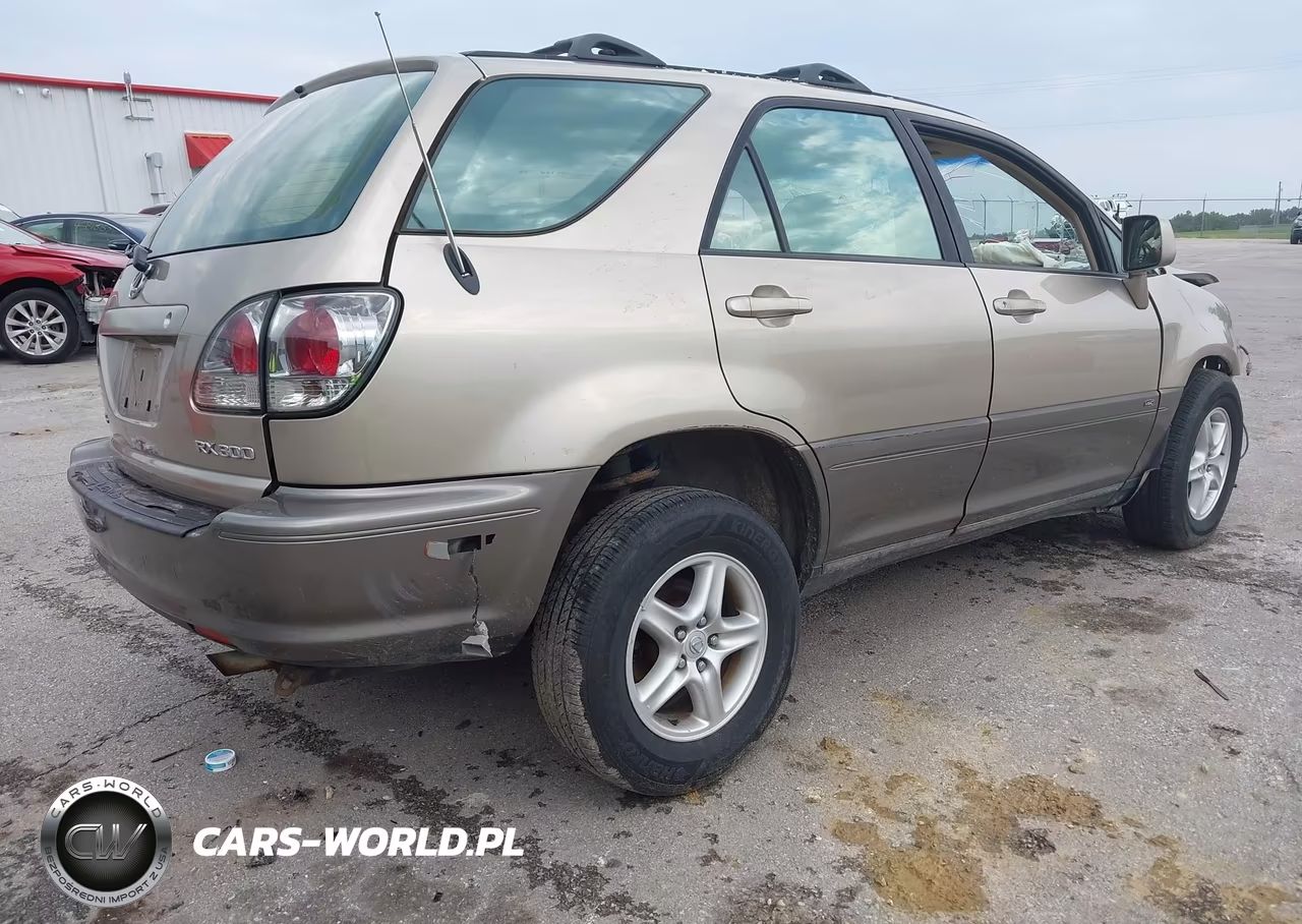 2002 Lexus Rx 300 VIN:JTJHF10U820253514 - 4