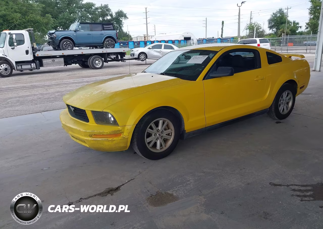2005 Ford Mustang V6 Deluxe-V6 Premium VIN:1ZVFT80N755175249 - 2