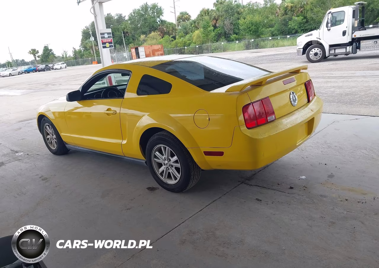 2005 Ford Mustang V6 Deluxe-V6 Premium VIN:1ZVFT80N755175249 - 3
