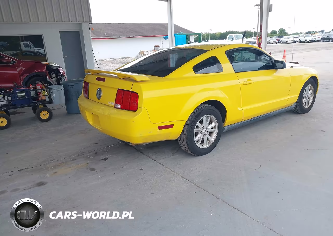 2005 Ford Mustang V6 Deluxe-V6 Premium VIN:1ZVFT80N755175249 - 4