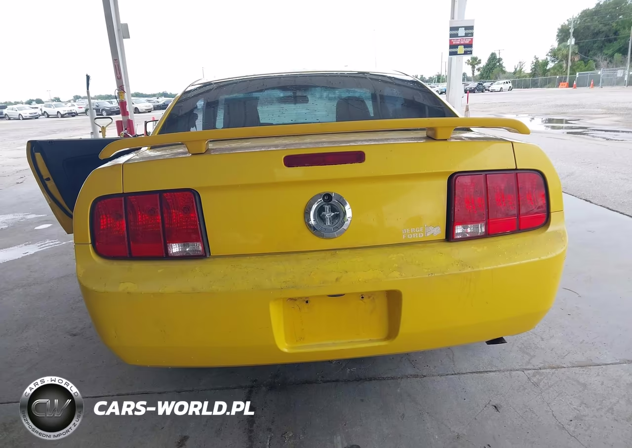 2005 Ford Mustang V6 Deluxe-V6 Premium VIN:1ZVFT80N755175249 - 6