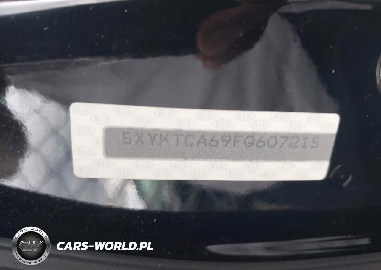 2015 Kia Sorento Lx VIN:5XYKTCA69FG607215 - 12