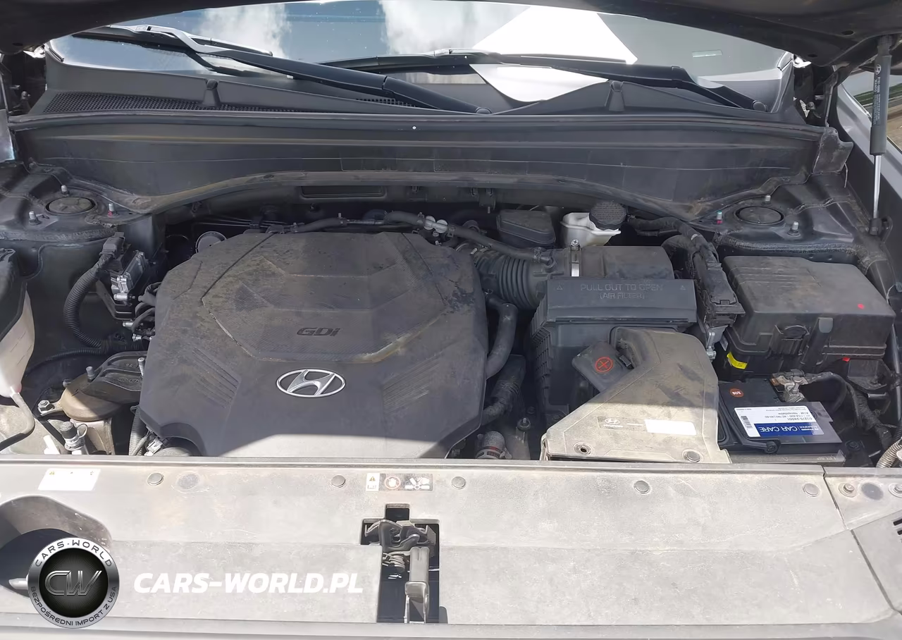 2021 Hyundai Palisade Sel VIN:KM8R4DHE0MU227282 - 10