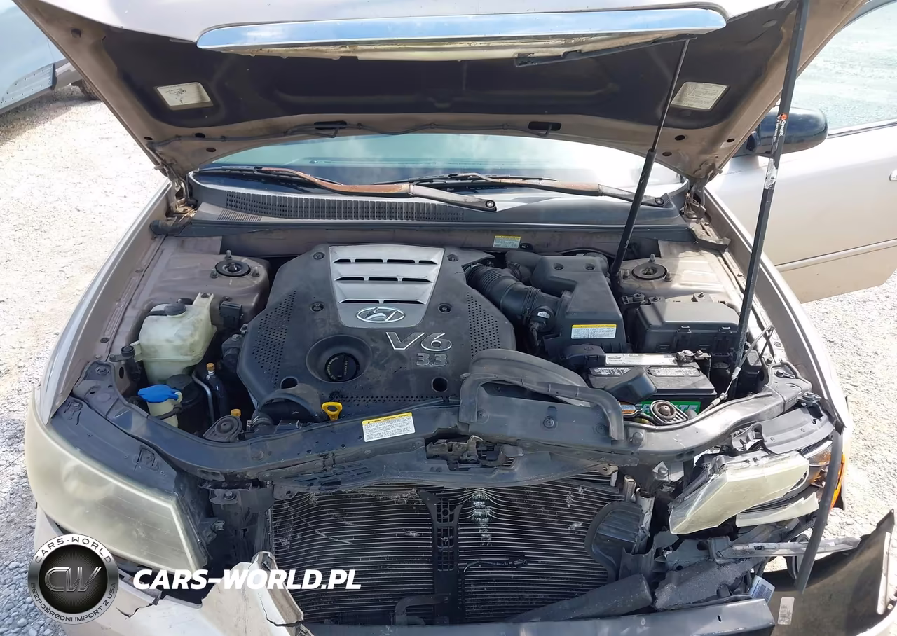 2007 Hyundai Sonata Se-Limited VIN:5NPEU46FX7H160722 - 10