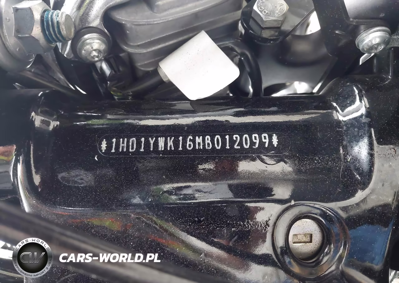 2021 Harley-Davidson Fxlrs VIN:1HD1YWK16MB012099 - 10