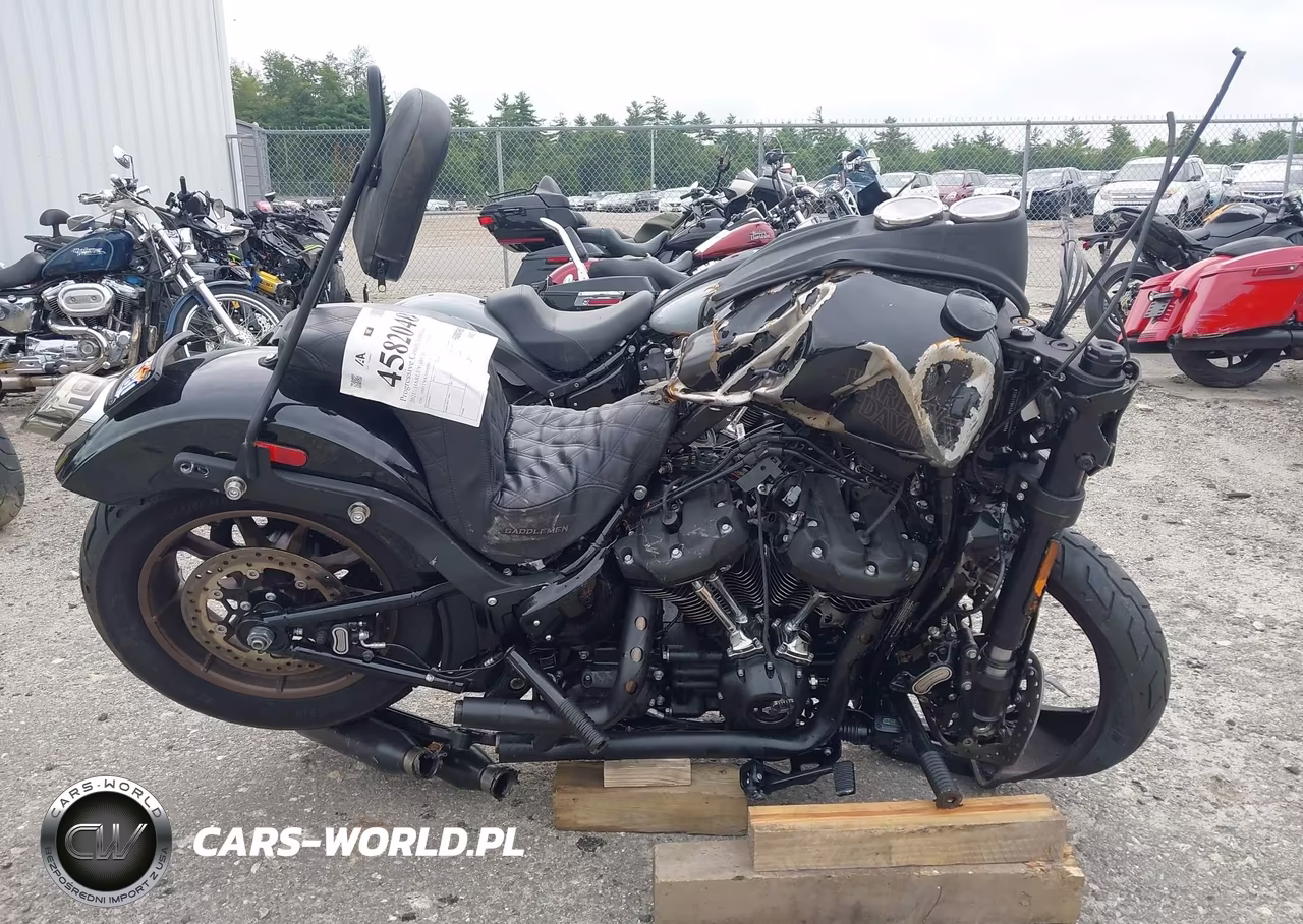 2021 Harley-Davidson Fxlrs VIN:1HD1YWK16MB012099 - 12