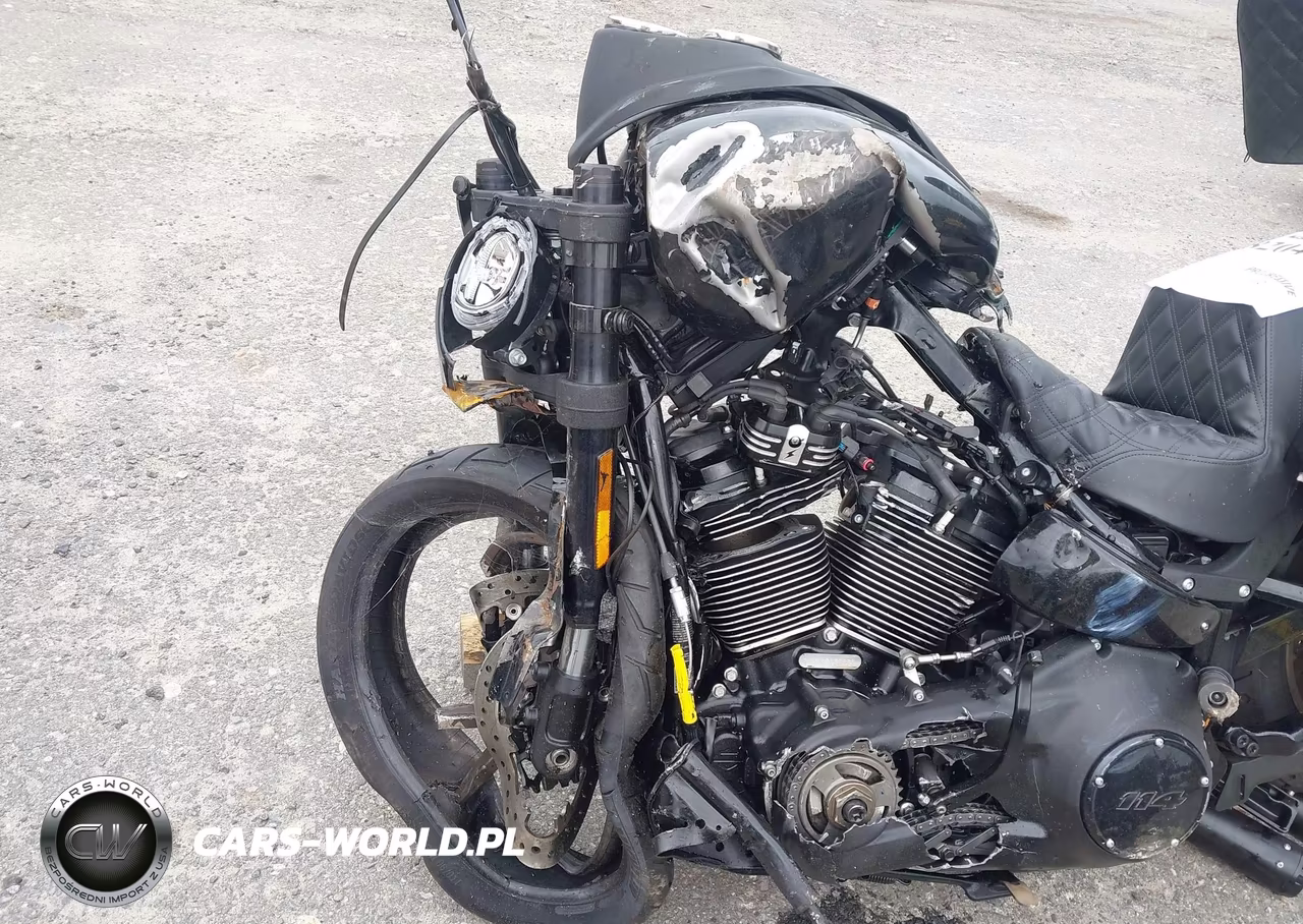 2021 Harley-Davidson Fxlrs VIN:1HD1YWK16MB012099 - 14