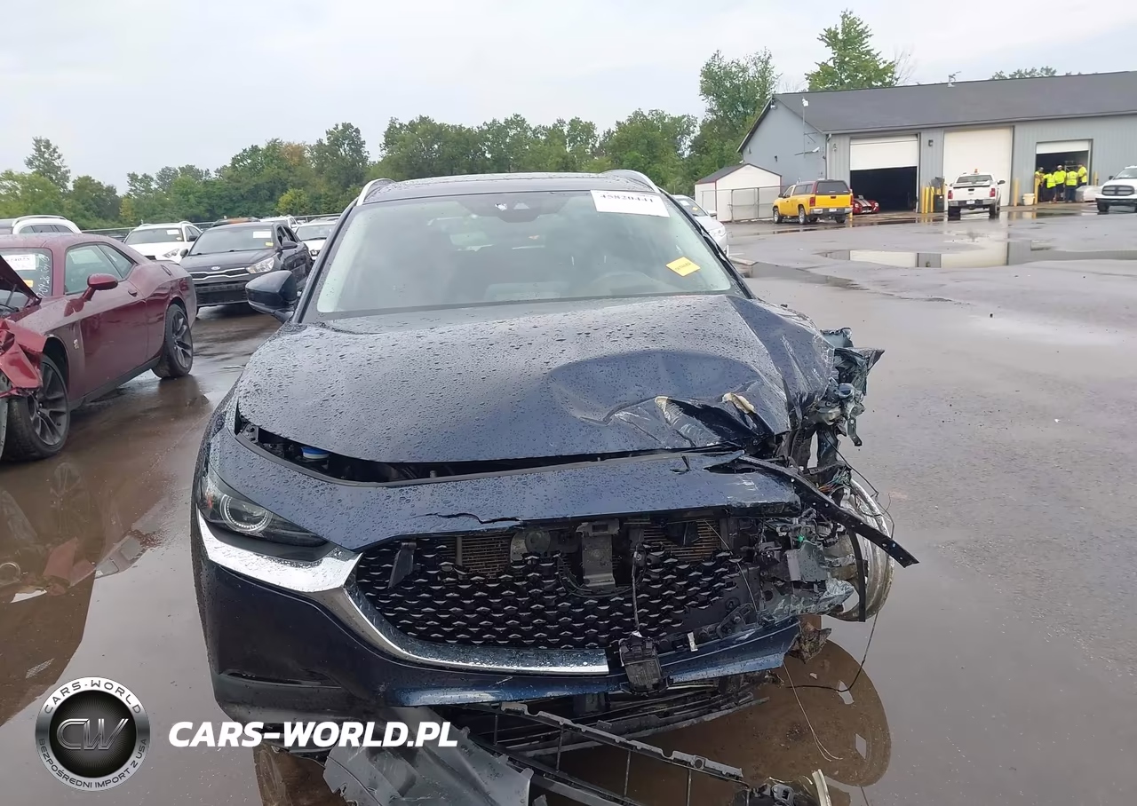 2022 Mazda Cx-30 Premium VIN:3MVDMBDL4NM419008 - 13