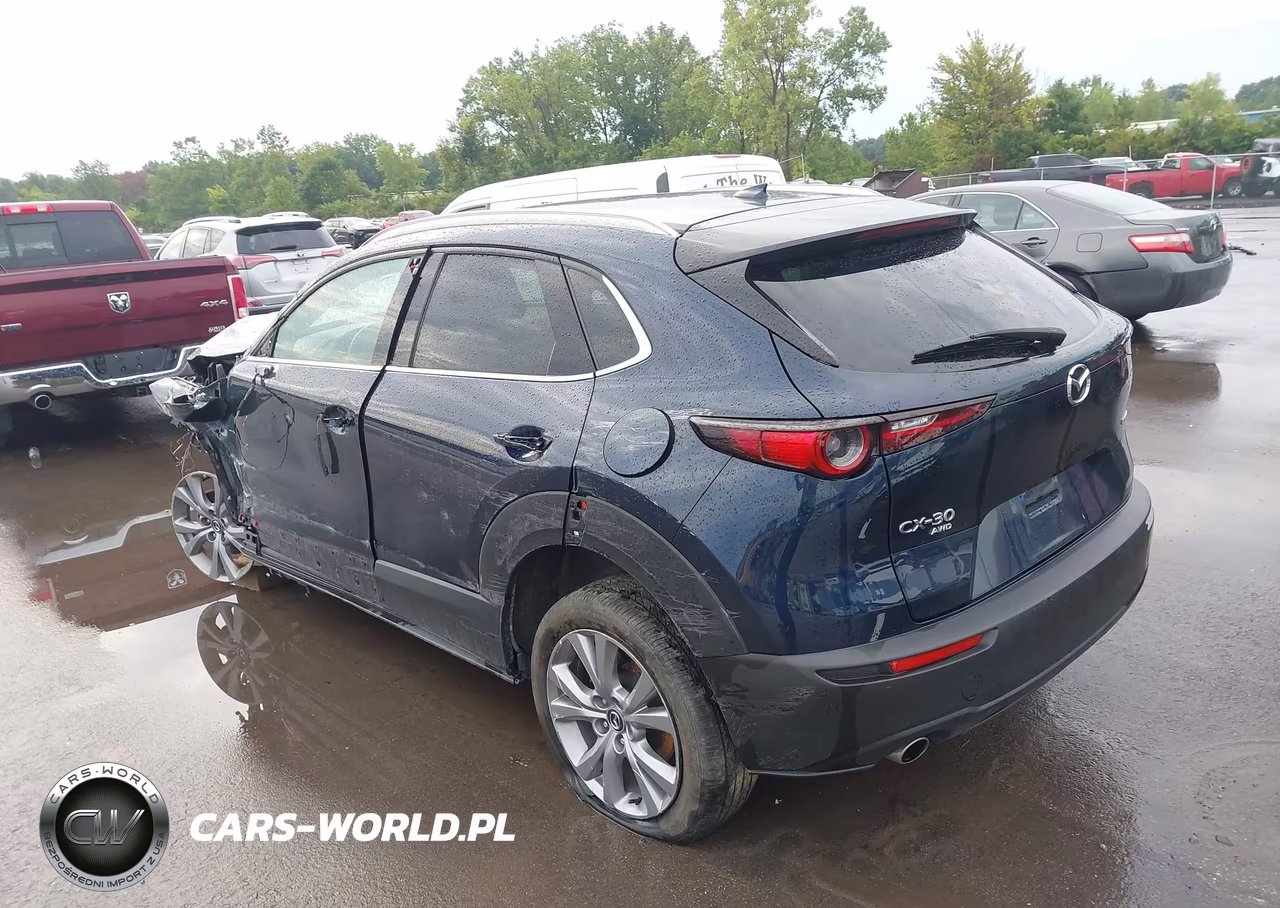 2022 Mazda Cx-30 Premium VIN:3MVDMBDL4NM419008 - 3