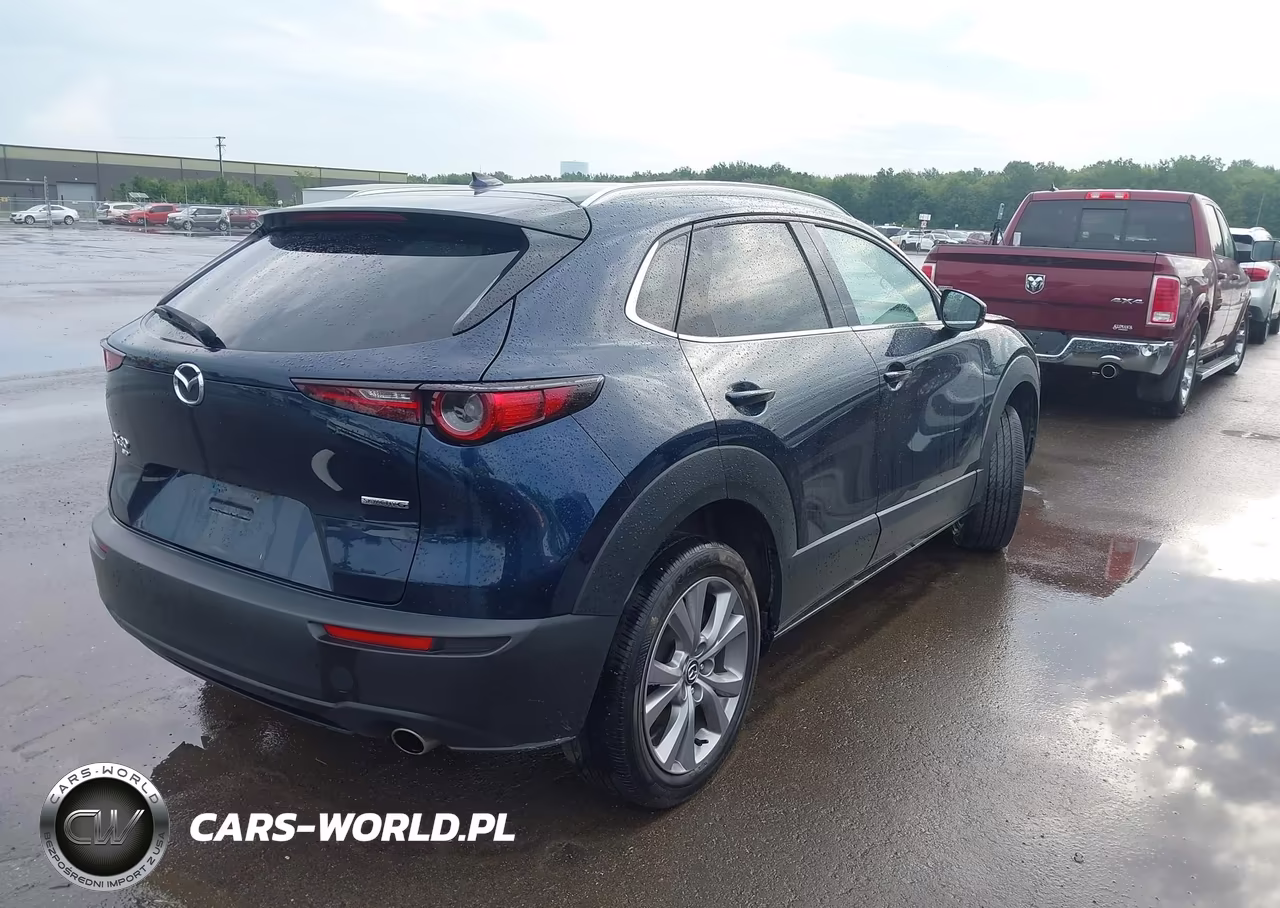 2022 Mazda Cx-30 Premium VIN:3MVDMBDL4NM419008 - 4