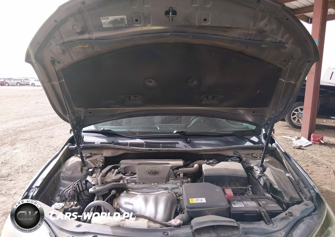 2017 Toyota Camry Se VIN:4T1BF1FK2HU438976 - 10