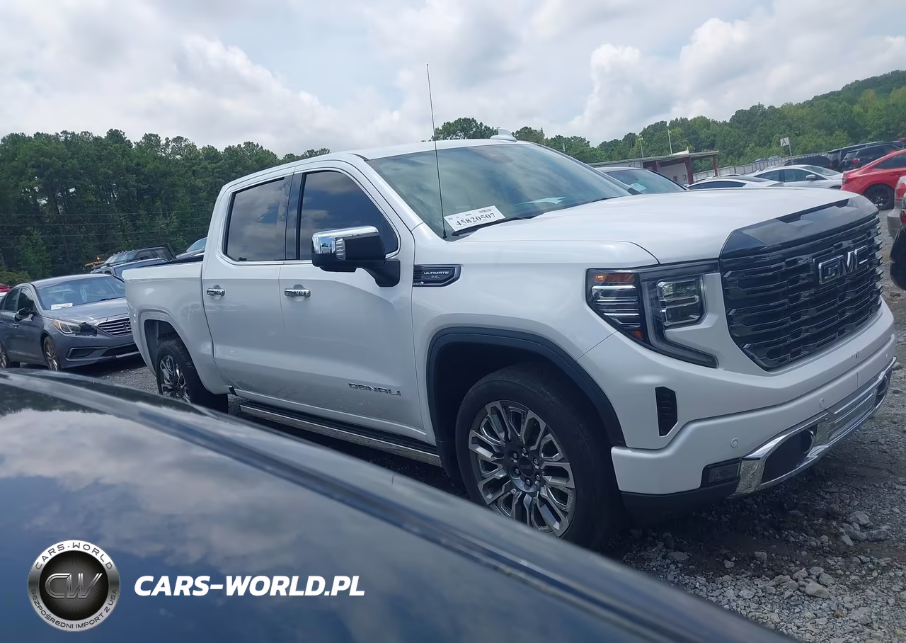 2023 GMC Sierra 1500 4Wd Short Box Denali Ultimate VIN:1GTUUHEL6PZ260433 - 13