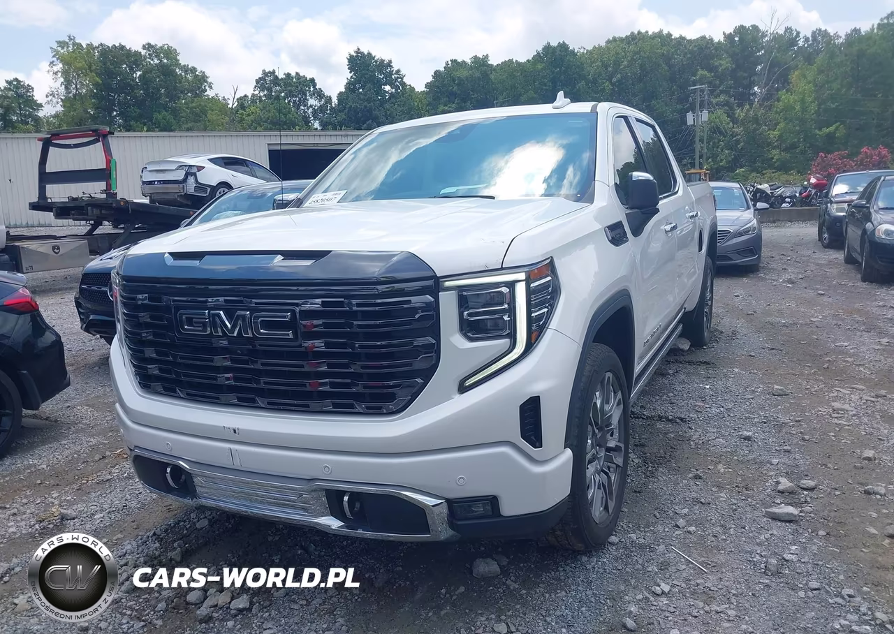 2023 GMC Sierra 1500 4Wd Short Box Denali Ultimate VIN:1GTUUHEL6PZ260433 - 2