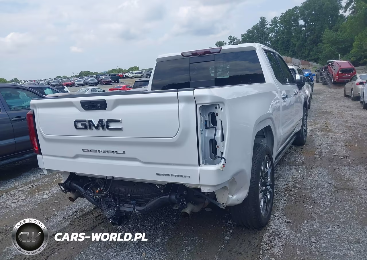 2023 GMC Sierra 1500 4Wd Short Box Denali Ultimate VIN:1GTUUHEL6PZ260433 - 4