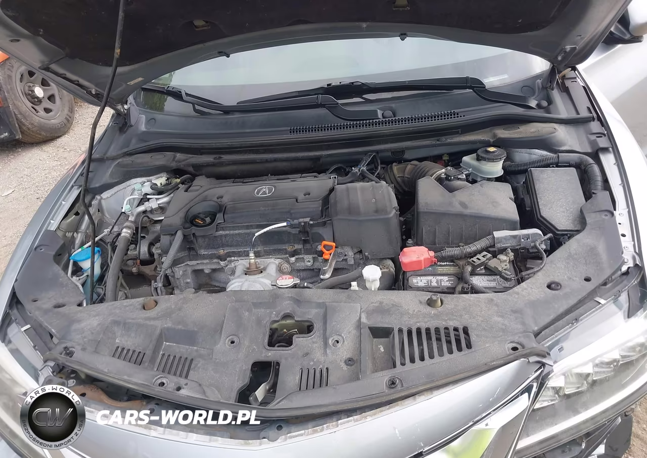 2018 Acura Ilx Premium Package-Technology Plus Package VIN:19UDE2F74JA009977 - 10