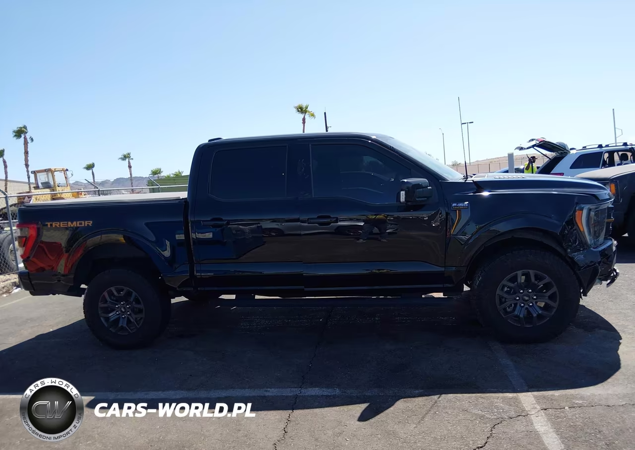 2023 Ford F-150 Tremor VIN:1FTEW1E87PFA10525 - 13