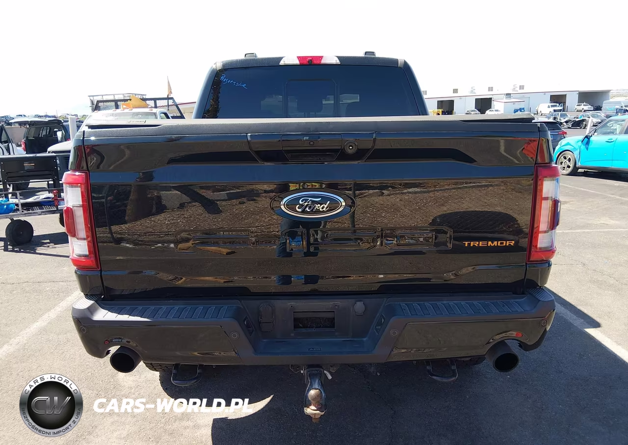 2023 Ford F-150 Tremor VIN:1FTEW1E87PFA10525 - 16