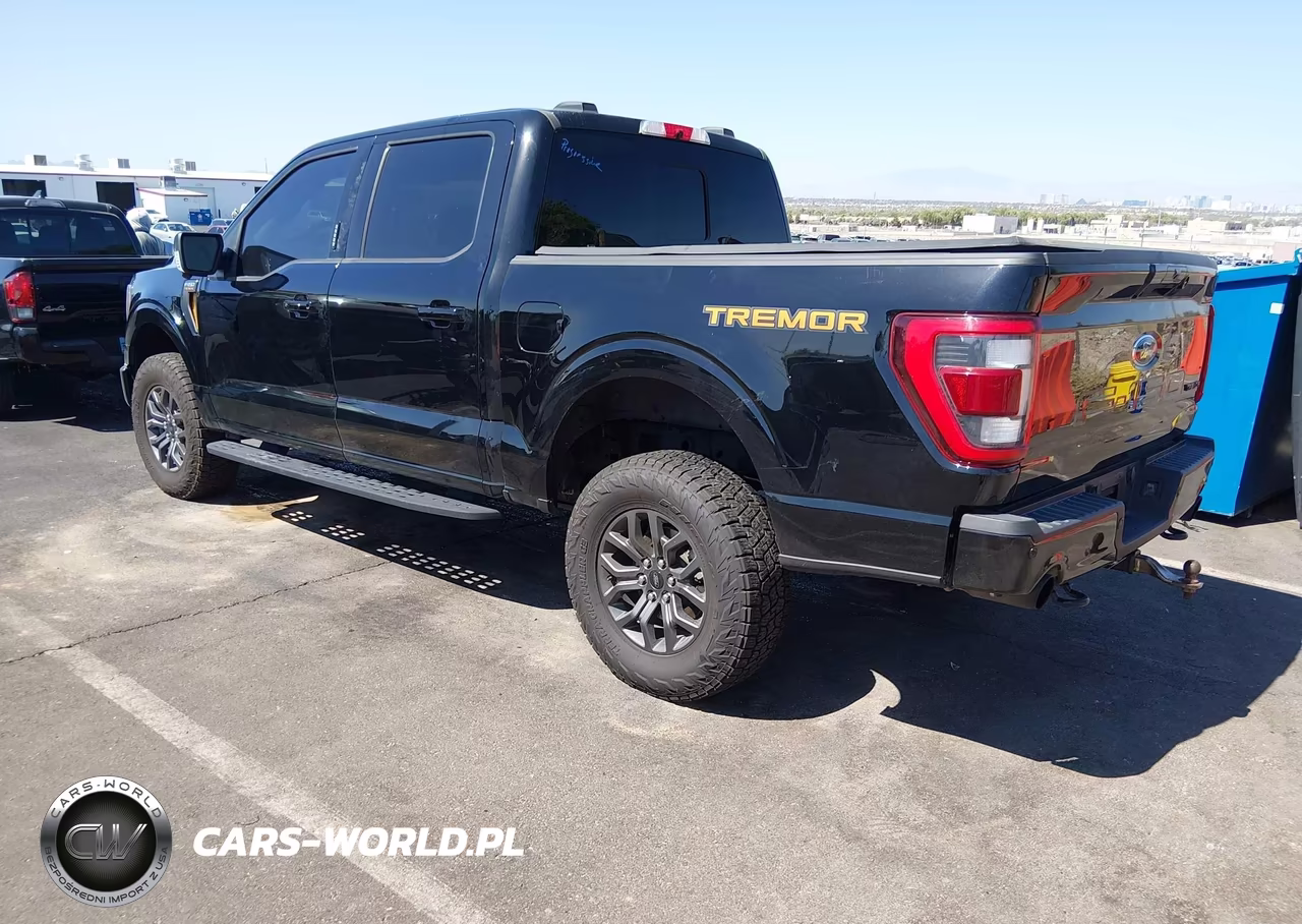 2023 Ford F-150 Tremor VIN:1FTEW1E87PFA10525 - 3